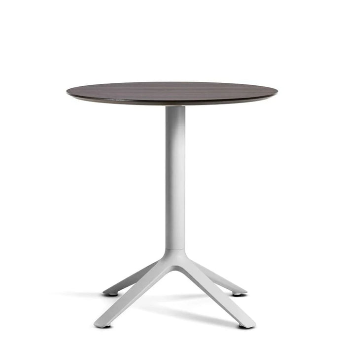 EEX - Dining table w/ wooden top