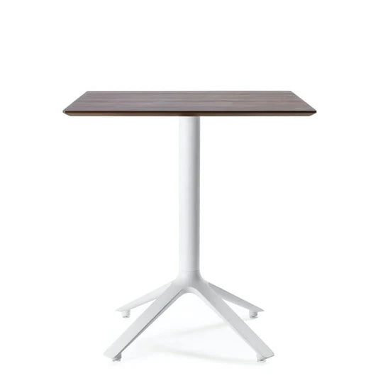 EEX - Dining table w/ wooden top