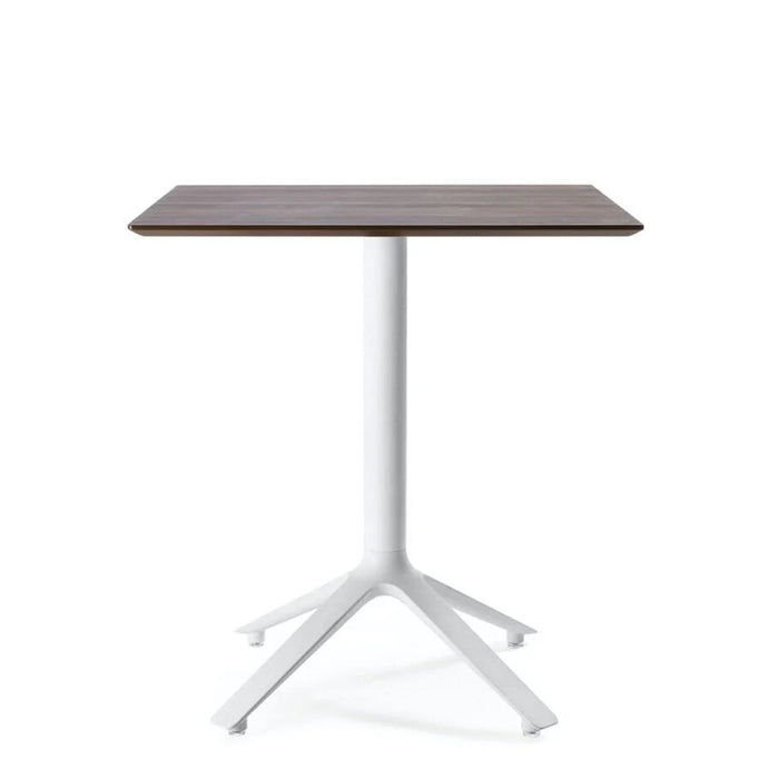 EEX - Dining table w/ wooden top