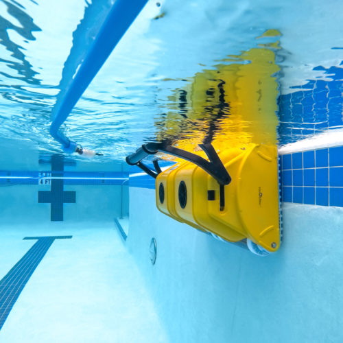 Robot de piscine Wave 20 Dolphin pour le nettoyage du fond avec