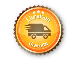 Icône livraison gratuite