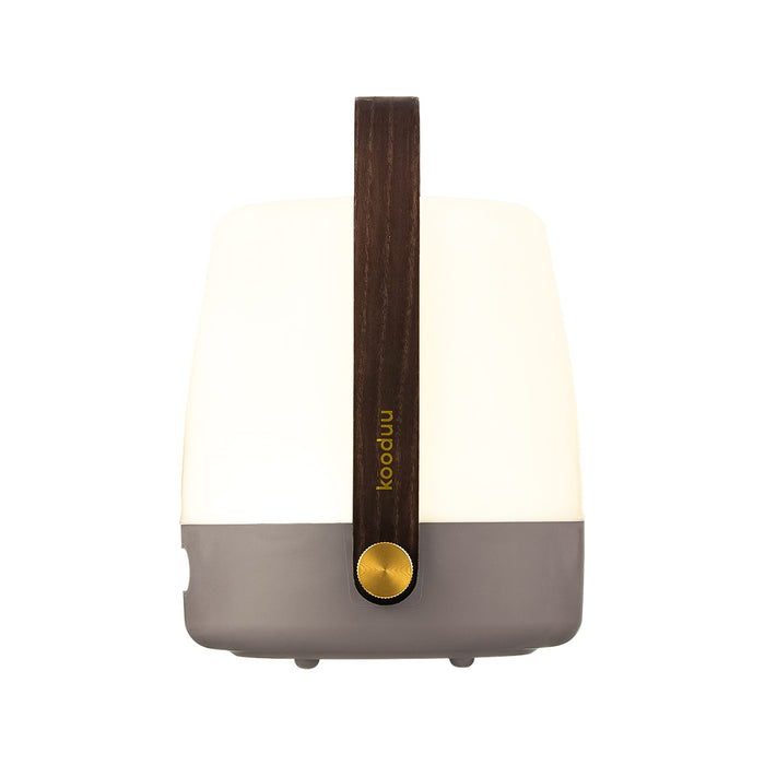Lite-up LED lamp: portable, rechargeable design with 4 dimmable light settings and a chic wooden handle for any space.