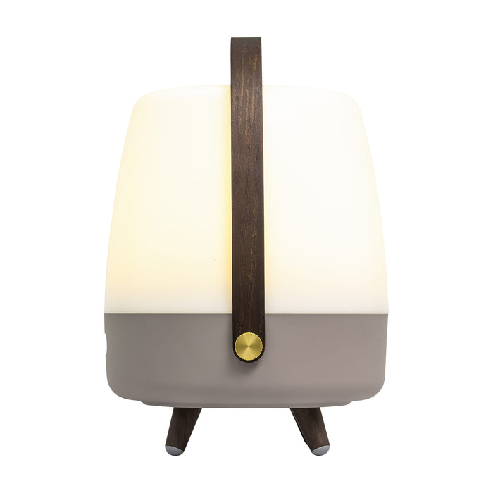 Lite-up Play speaker lamp: wireless Bluetooth sound and cozy lighting with Nordic-inspired design and wooden accents.