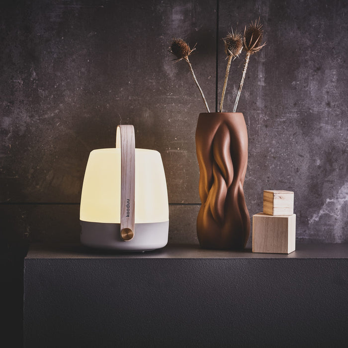 Cozy and versatile Lite-up lamp: compact, rechargeable, and dimmable LED light perfect for bedrooms, gardens, or road trips.