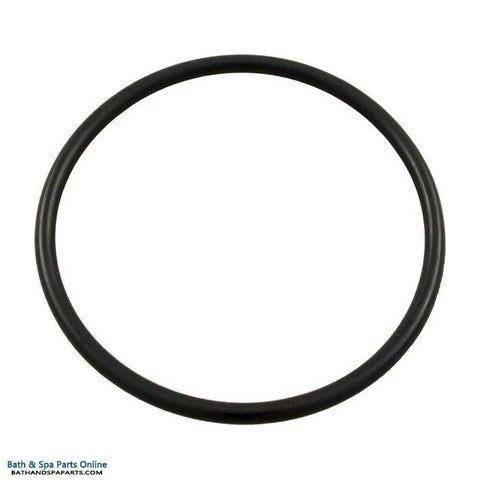 Gasket (O-ring) filtreur Opal XL 270
