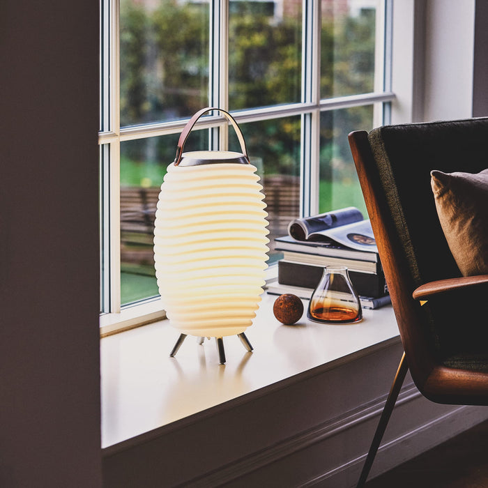 Synergy by Kooduu: Danish-designed LED lamp with built-in Bluetooth speaker and cooler for wine or drinks, perfect for parties.