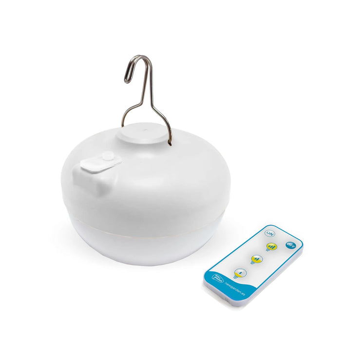 Cherry Ambient Lighting (rechargeable only)