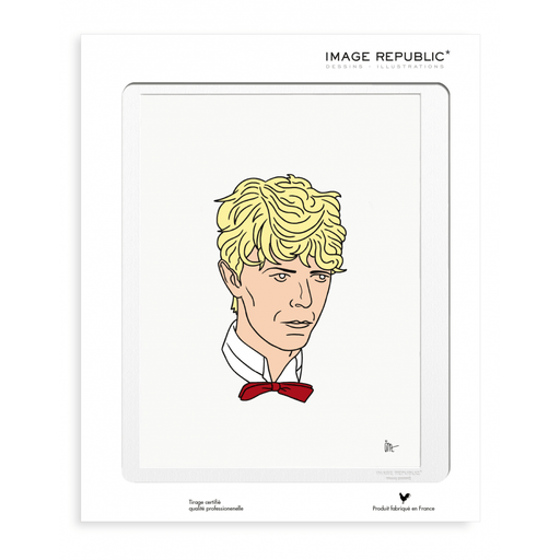 Jean-Michel Tixier David Bowie / 30x40cm  -  Posters, Prints, & Visual Artwork  by  Image Republic