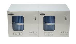 Bullfrog Spa Filter for A Series, X Series, and R Series