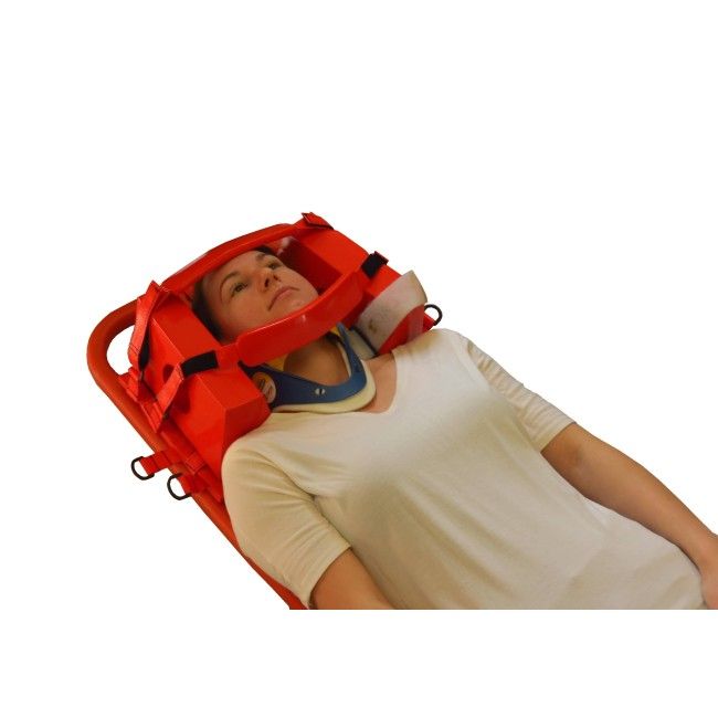 Head immobilizer