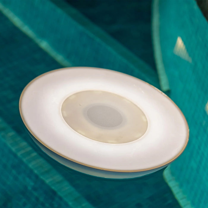 Wally Play Disk (bluetooth transmitter for pool)