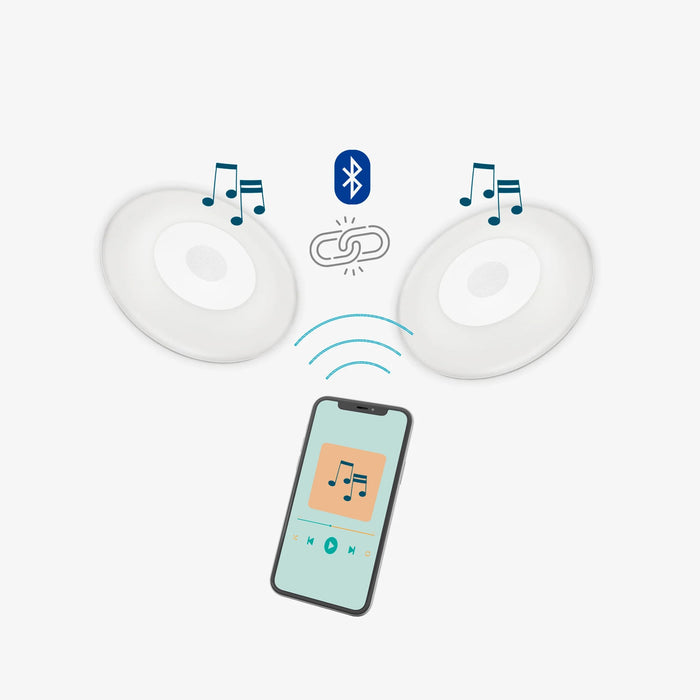 Wally Play Disk (bluetooth transmitter for pool)