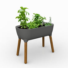 Load image into Gallery viewer, Bloom planter with legs

