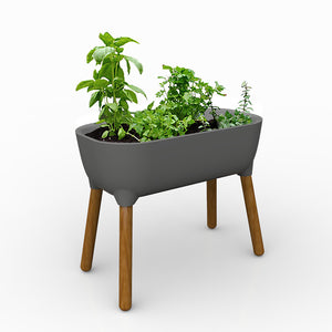 Bloom planter with legs