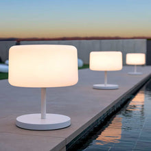 Load image into Gallery viewer, Discover the Chloe Plant lamp by Newgarden - a versatile, stylish lighting solution that enhances both indoor and outdoor settings.
