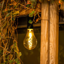 Load image into Gallery viewer, Discover Newgarden&#39;s Edy A100: the wireless vintage bulb for effortless illumination and unmatched durability.
