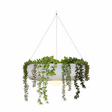Charger l&#39;image dans la galerie, Add a touch of elegance with the durable, easy-to-install Elba hanging planter with wireless lighting from Newgarden.
