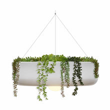Charger l&#39;image dans la galerie, Choose Elba from Newgarden for a hanging planter with wireless lighting, offering modern elegance and easy installation.
