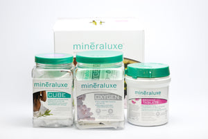 Mineraluxe system with bromine tablet 3 months DML00502